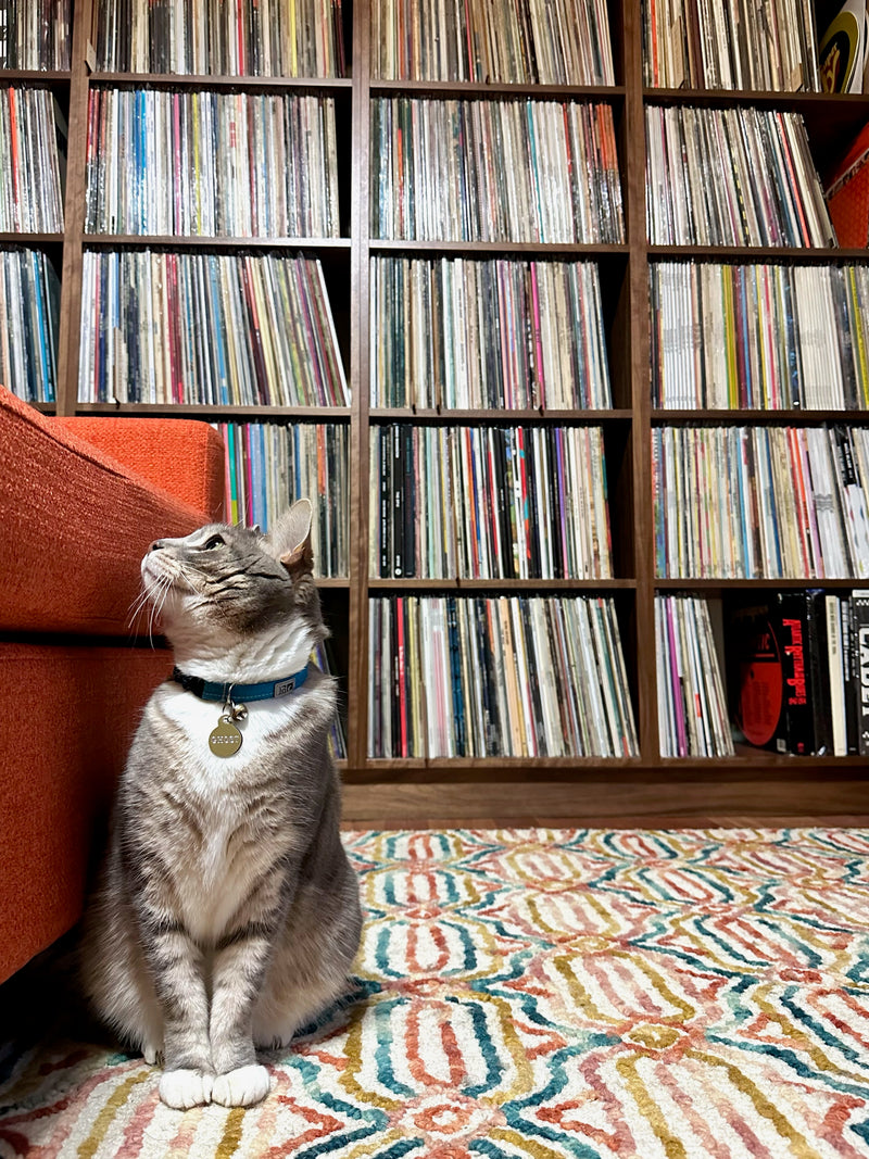 Record Collector Interview: Eric S.